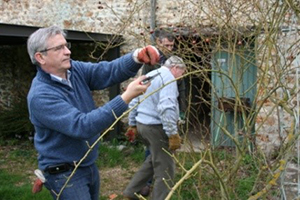 jardin et jardinage