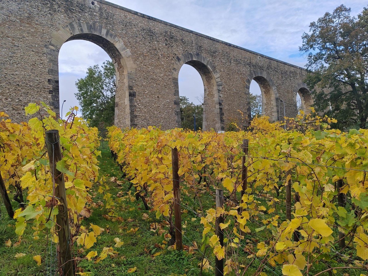 Samedi 2 décembre :Visite des coteaux de Louveciennes