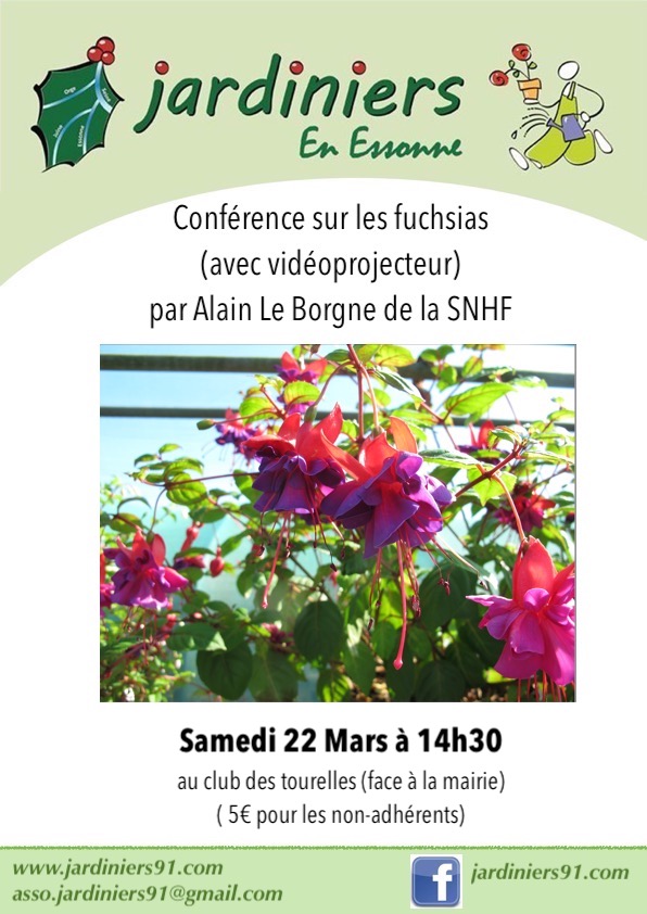 PHOTO fushia