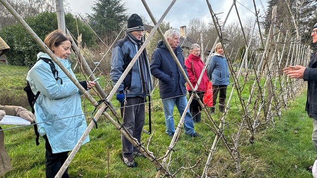 Atelier taille fruitiers