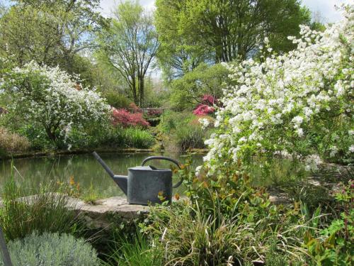 vignette 2 jardin et jardinage