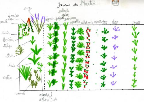 jardin de martin945