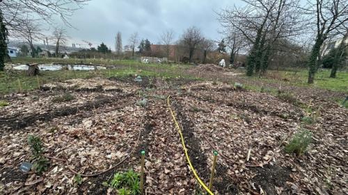 potager permaculture